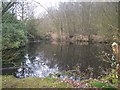 TQ6261 : Dark Water Pond in Hall Wood by David Anstiss