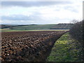 Looking over West Wold from Sherburn Wold Farm