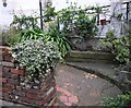 Path to garden at rear of Chelsea and Westminster Hospital