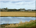 2009 : Pond by Chippenham Lane