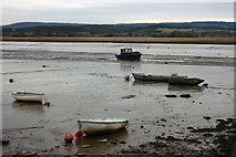SX9687 : River Exe at low tide by Adrian Platt