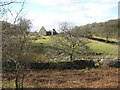 Ruined barn near Tabor