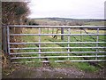 Entrance to Sewage Works, Allen