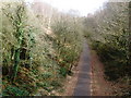 Cutting, on former Exmouth to Budleigh branch line