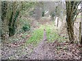 Bridleway to Lower Woodford