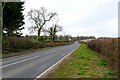 The A352 near Longburton