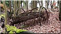 Old agricultural machinery in wood near Hascombe