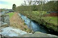 Vinny Water, Letham, Angus, looking downstream