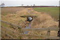 Black Burn viewed from Nether Bow / Forestmuir Road