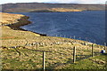 Coastline at Wetherstaness