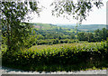 Farmland east of Tregaron, Ceredigion