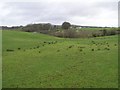 Killybrack Townland