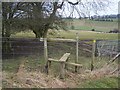 TQ8955 : Stile on fence near Wrinsted Court by David Anstiss