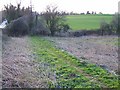 Footpath to Stinsford