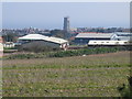 Industrial buildings near East Runton