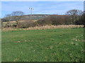 Field at Herston Yards Campsite