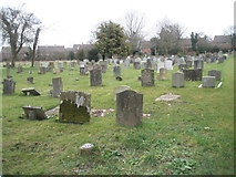 SU6432 : Rear of Ropley Churchyard by Basher Eyre