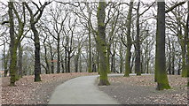 TQ3268 : Woods in Grangewood Park by Peter Trimming