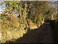 West Buckfastleigh Bridleway 14