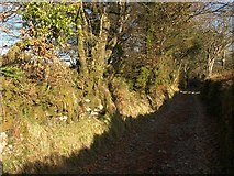 SX6867 : West Buckfastleigh Bridleway 14 by Derek Harper