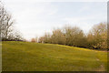 Viewing Mound at Knowle Hill, Fair Oak