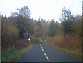 Cottage near Pitch Coppice