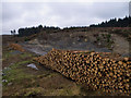 NX1559 : Quarry and timber stack by David Baird