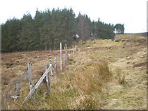 NH7425 : Old Fence Crossing Forest Clearing in Glen Kyllachy by Sarah McGuire