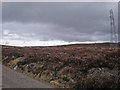 NH7325 : Pylons Crossing Carn Eitidh Moorland from Farr Windfarm by Sarah McGuire