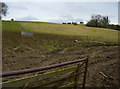 Fields west of Hotham