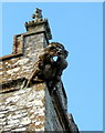 Another Gargoyle - Church of St Peter Chetnole