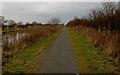 The Trans Pennine Trail alongside the New Junction Canal