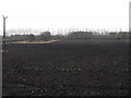 Fields Opposite Roebuck Farm, Knutsford