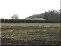 Waste Ground near Mere