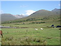 NM4935 : Ben More (right) from a point near the bridge over Abhainn Doire Dhubhaig by Ian Cunliffe