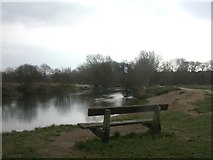 SZ0896 : Stour Valley Nature Reserve, bench by Mike Faherty