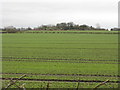 Bollin Valley Fields