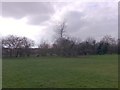 Looking across the Ouse, Buckingham