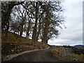 NH5624 : Restored Driveway going to Balnaglaick by Sarah McGuire