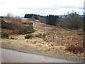 NH5524 : Footpath to Loch an Ordain above Errogie by Sarah McGuire