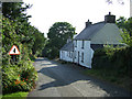 Cottages on the road downhill into Moylgrove