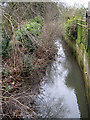 Golden Brook Enters West Park