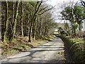 Road by woodland edge near Blaen-y-coed, Cynwyl Elfed