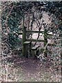 Stile in the hedge, Asheridge