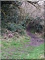 Chiltern Heritage Trail footpath