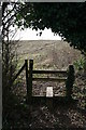 A very inviting stile.