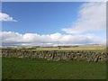 Dry stone wall north of Ingoe Mill