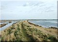 Old seawall, Tollesbury