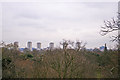 View from the Xstrata Treetop Walkway and Rhizotron, Kew Gardens, Surrey