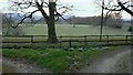 Bridleway junction near Holm Wood